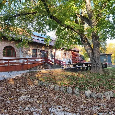 Bed & Breakfast Hollo Es Barany Vendeghaz 3*